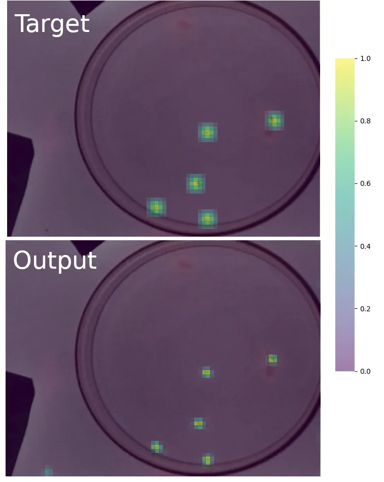 Keypoint detection vs bounding box detection